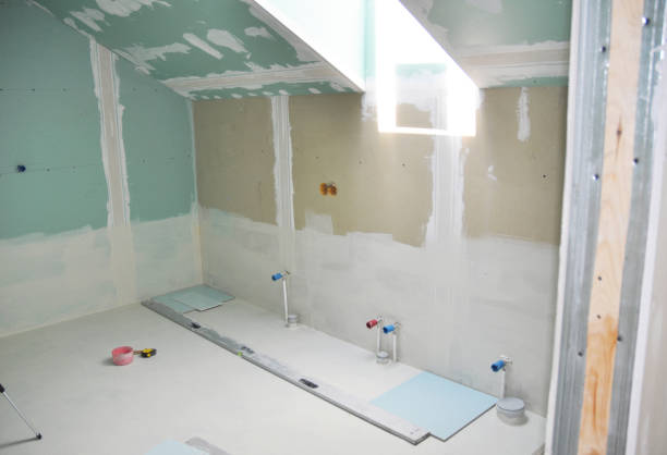 Professional Mold Removal in Clinton, IL