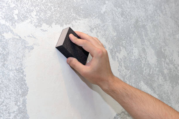 Best Mold Remediation for Rental Properties  in Clinton, IL