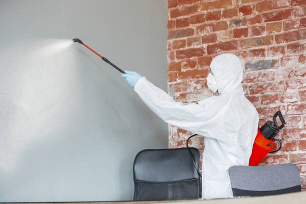 Best Industrial Mold Remediation  in Clinton, IL