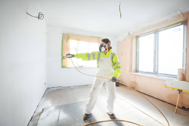 Mold Odor Removal Services in Clinton, IL
