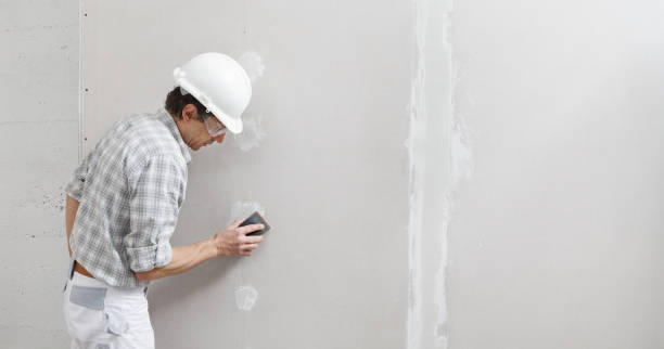 Best Post-Remediation Verification Testing  in Clinton, IL