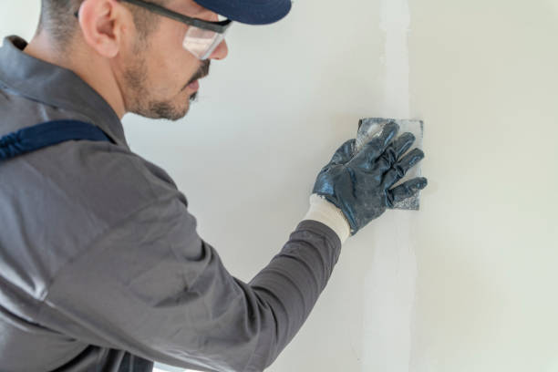 Best Air Quality Testing for Mold Spores  in Clinton, IL