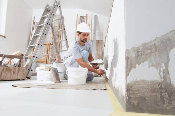 Mold Remediation for Rental Properties in Clinton, IL