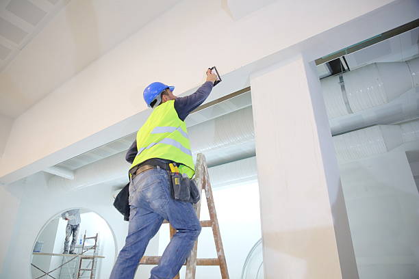 Best Residential Mold Inspection & Testing  in Clinton, IL