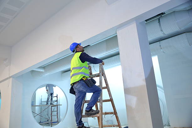 Best Basement Mold Removal  in Clinton, IL