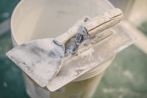 Best Emergency Mold Remediation  in Clinton, IL
