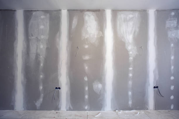 Best Biohazard Mold Removal  in Clinton, IL