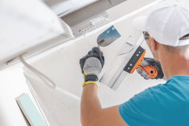 Best Mold Remediation for Healthcare Facilities  in Clinton, IL
